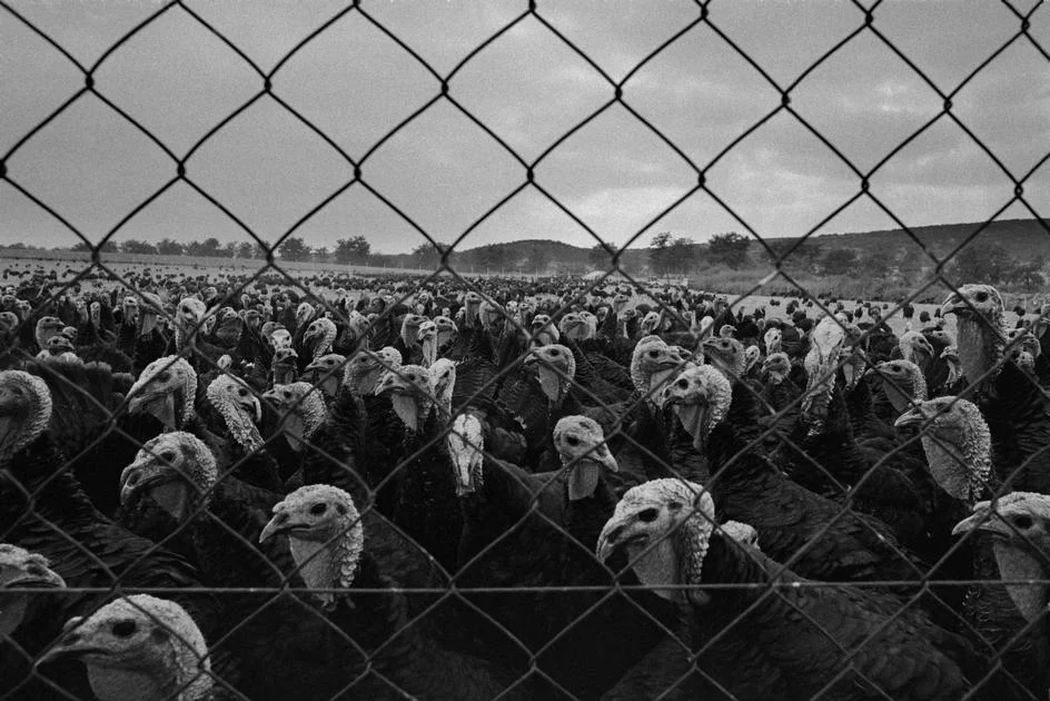 Photograph by Duygu Aytac — Istanbul workshop