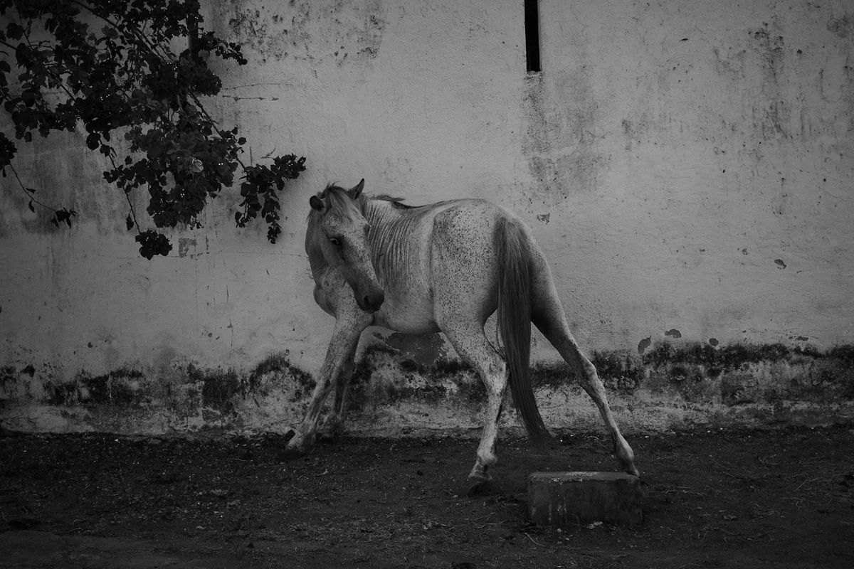 Allan Salas — Costa Rica, Nicaragua workshop