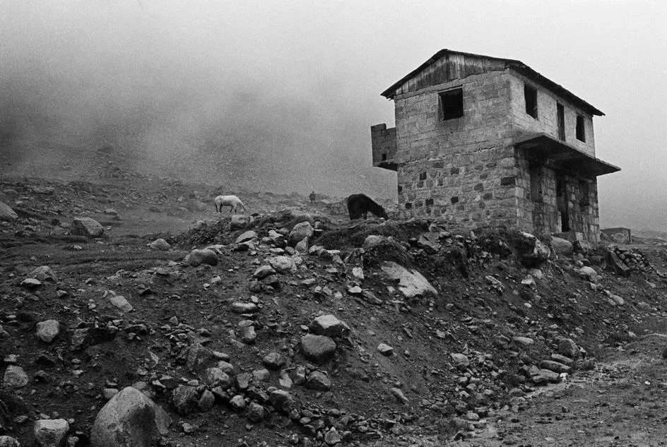 Analog prints — a black-and-white darkroom photograph
