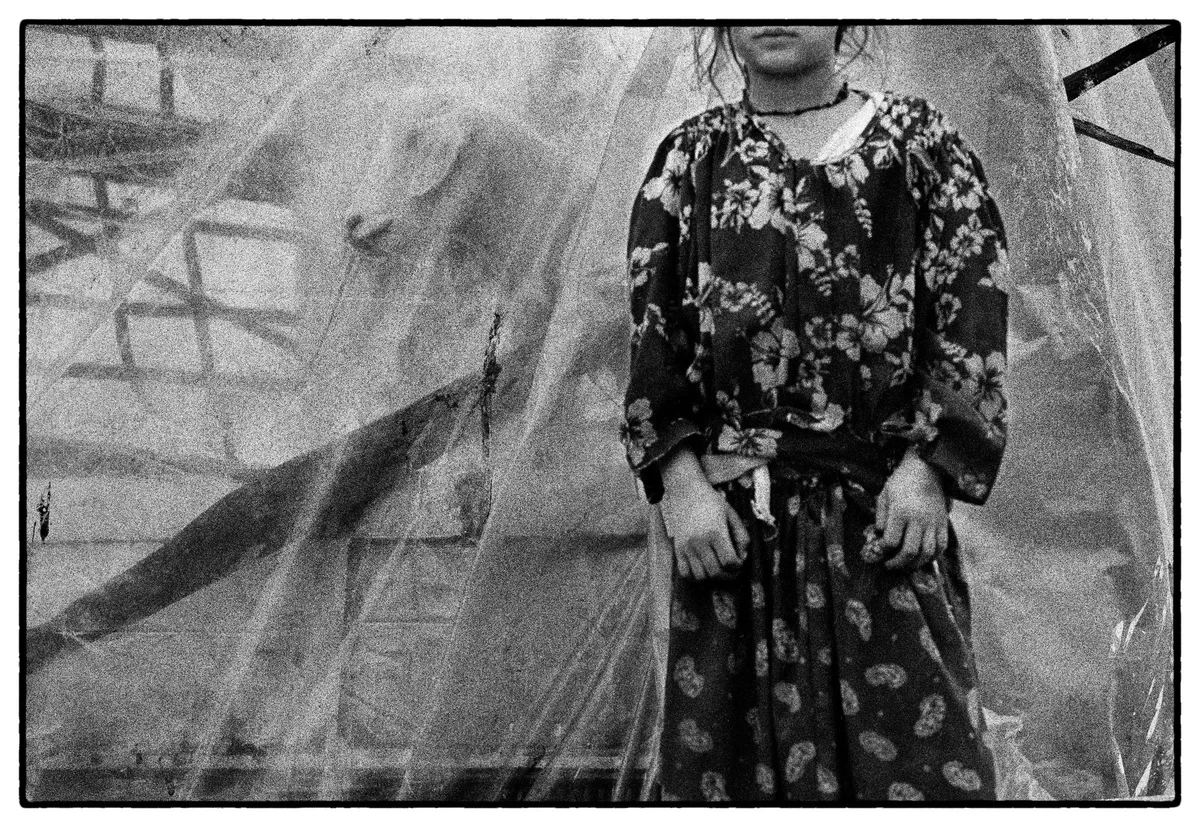 ECN Digital 14 — digital prints by Nikos Economopoulos